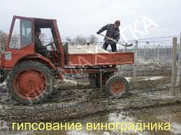 гіпсування виноградників